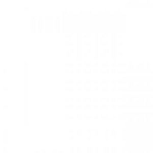 Meet your Posher, Dalton